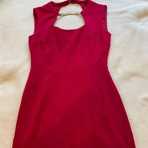 BCBG hot pink dress